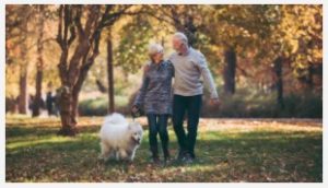 due pensionati a passeggio nel bosco