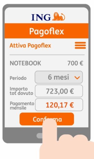 esempio calcolo rata servizio pagoflex